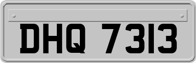 DHQ7313