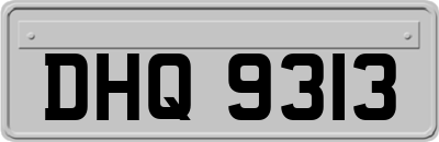 DHQ9313