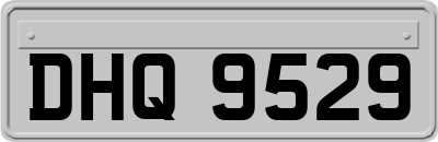 DHQ9529