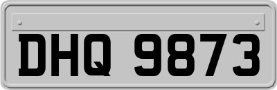 DHQ9873