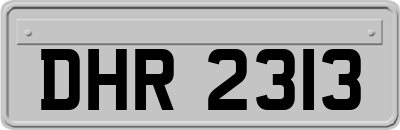 DHR2313