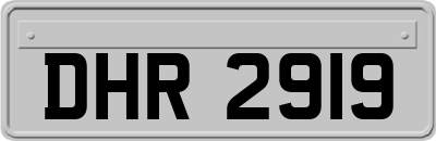 DHR2919