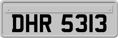 DHR5313