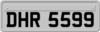 DHR5599