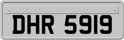 DHR5919
