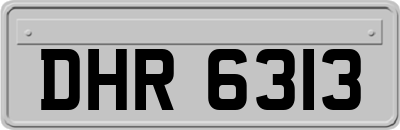 DHR6313