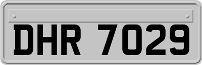 DHR7029