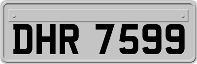 DHR7599