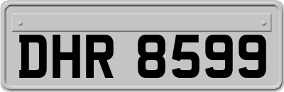DHR8599