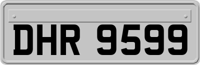 DHR9599