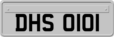DHS0101