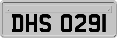 DHS0291
