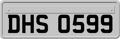 DHS0599