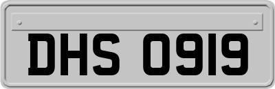 DHS0919