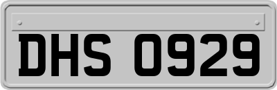 DHS0929