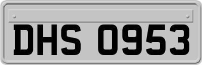 DHS0953