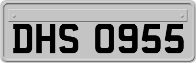 DHS0955