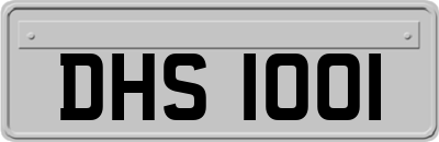 DHS1001