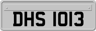DHS1013
