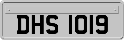 DHS1019