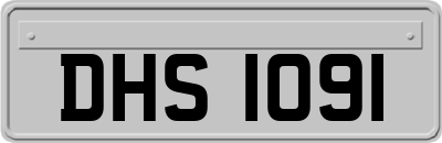 DHS1091
