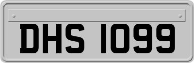 DHS1099