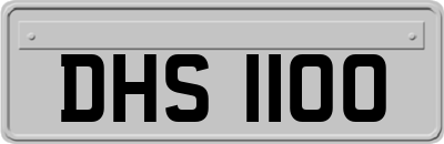 DHS1100