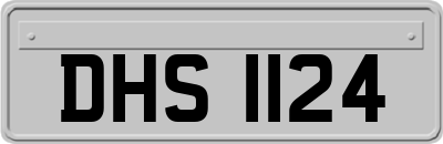 DHS1124