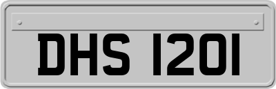 DHS1201