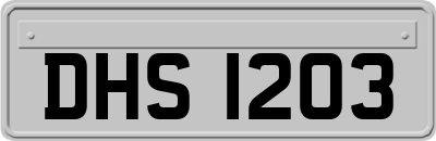 DHS1203
