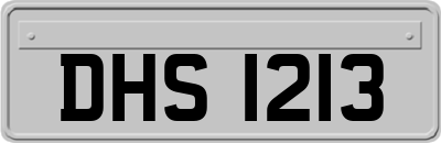 DHS1213