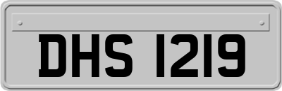 DHS1219
