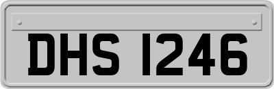 DHS1246