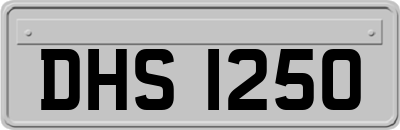 DHS1250