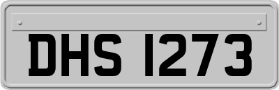 DHS1273