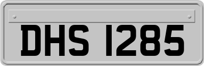 DHS1285