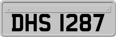 DHS1287