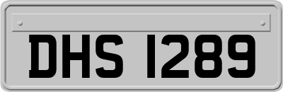 DHS1289