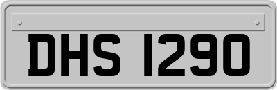 DHS1290