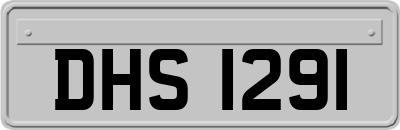 DHS1291