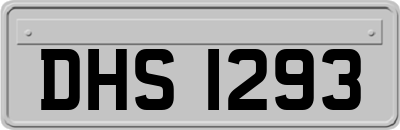 DHS1293
