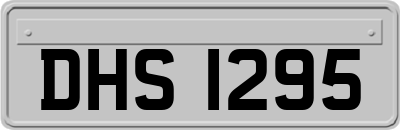 DHS1295