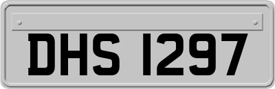 DHS1297