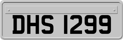 DHS1299