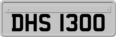 DHS1300