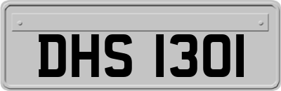 DHS1301