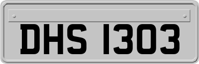 DHS1303