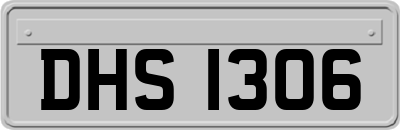 DHS1306