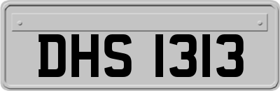DHS1313