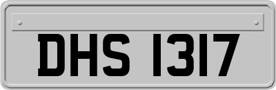 DHS1317